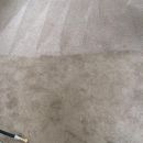 professional carpet cleaning- manchester, nh