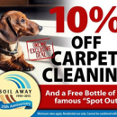 Carpet cleaning NH