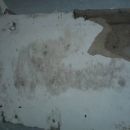 Mold Remediation – Goffstown, NH