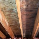 removing attic mold NH