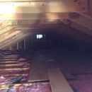 attic mold removal NH