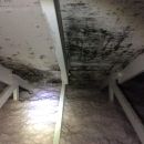Mold Removal in Attic – Bedford, NH 03110