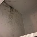 Mold Removal and Remediation – Portland, ME