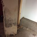Professional mold removal – Kennebunk, Maine