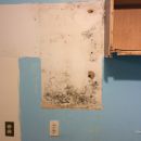 Mold Cleanup — Saco, Maine