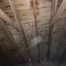 Who should I hire to remove mold from my attic NEW HAMPSHIRE