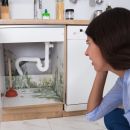 woman finding mold under her sink