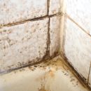 Mold growing in the corner of a bathtub shower