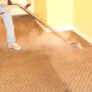 Rug Cleaner- Londonderry, NH