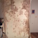 Mold in Basement - Derry, NH 03038