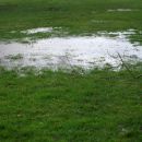 A lawn with big water puddles, a common sign of poor yard drainage