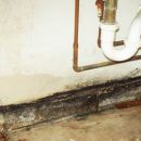 Mold Remediation NH