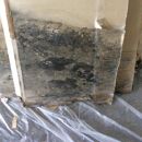 mold restoration in commercial building