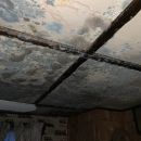 Mold Remediation Company - Sanford, Maine