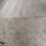 professional carpet cleaning- manchester, nh