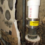 Black Mold- Exeter, NH
