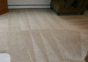 10% Coupon for Carpet Cleaning NH