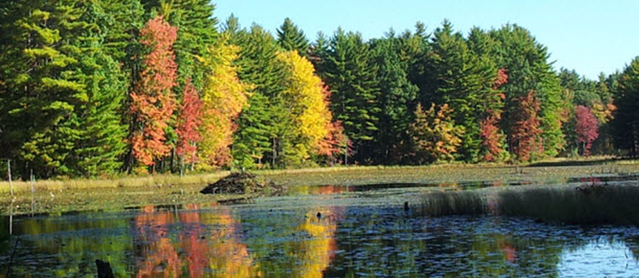 amesbury-ma-soil-away