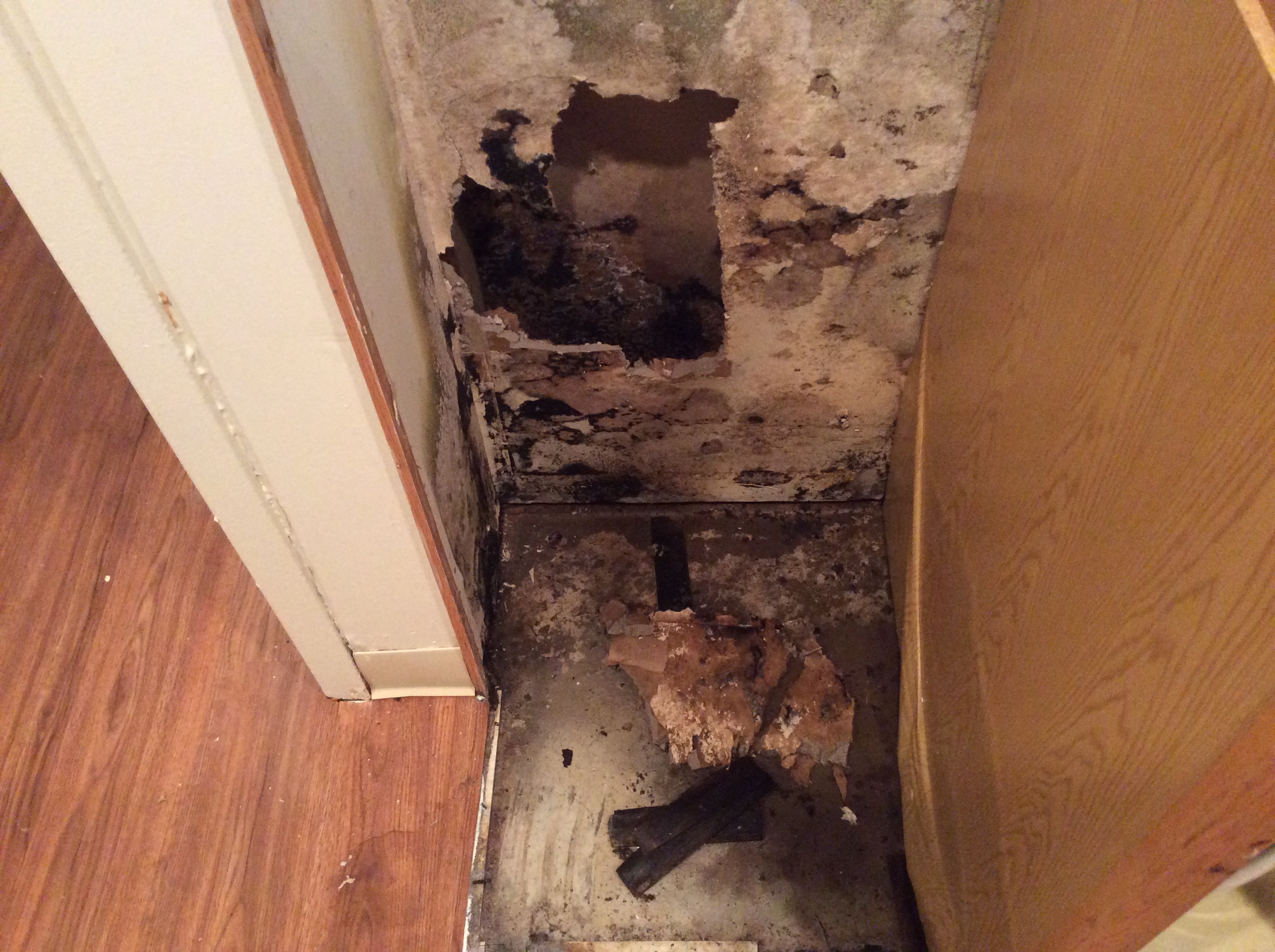 Black Mold Clean Up Candia, NH Soil Away LLC