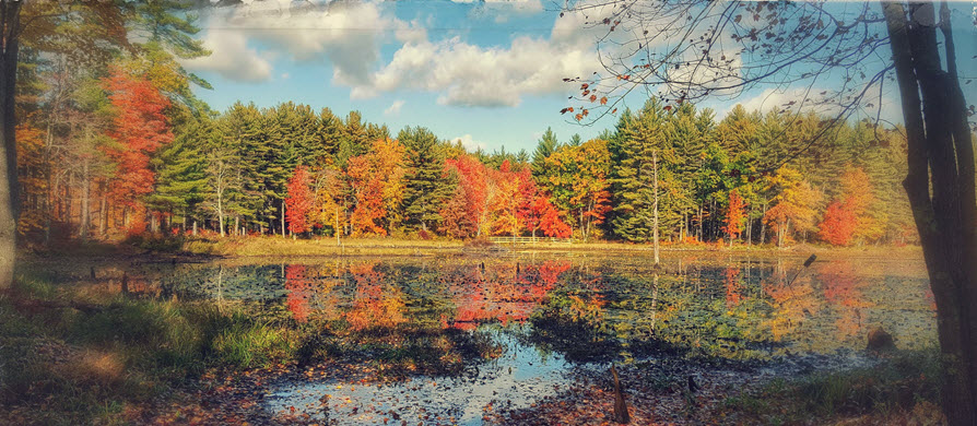 wilton-nh-soil-away