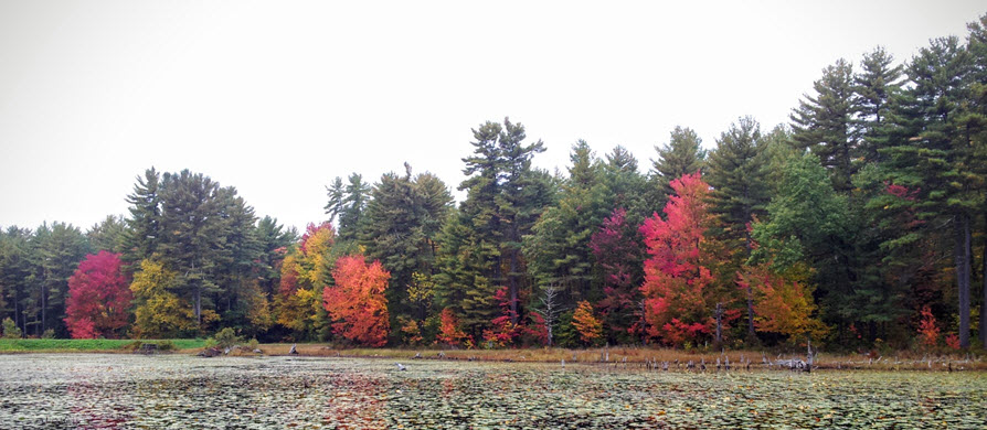 Hancock-NH-Soil-Away