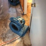 Mold after Flooding – New Boston, NH 03070