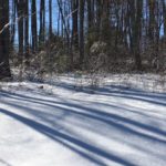 STORM DAMAGE CLEANUP —EXETER, NH 03833