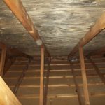 Mold in Attic Concord, NH