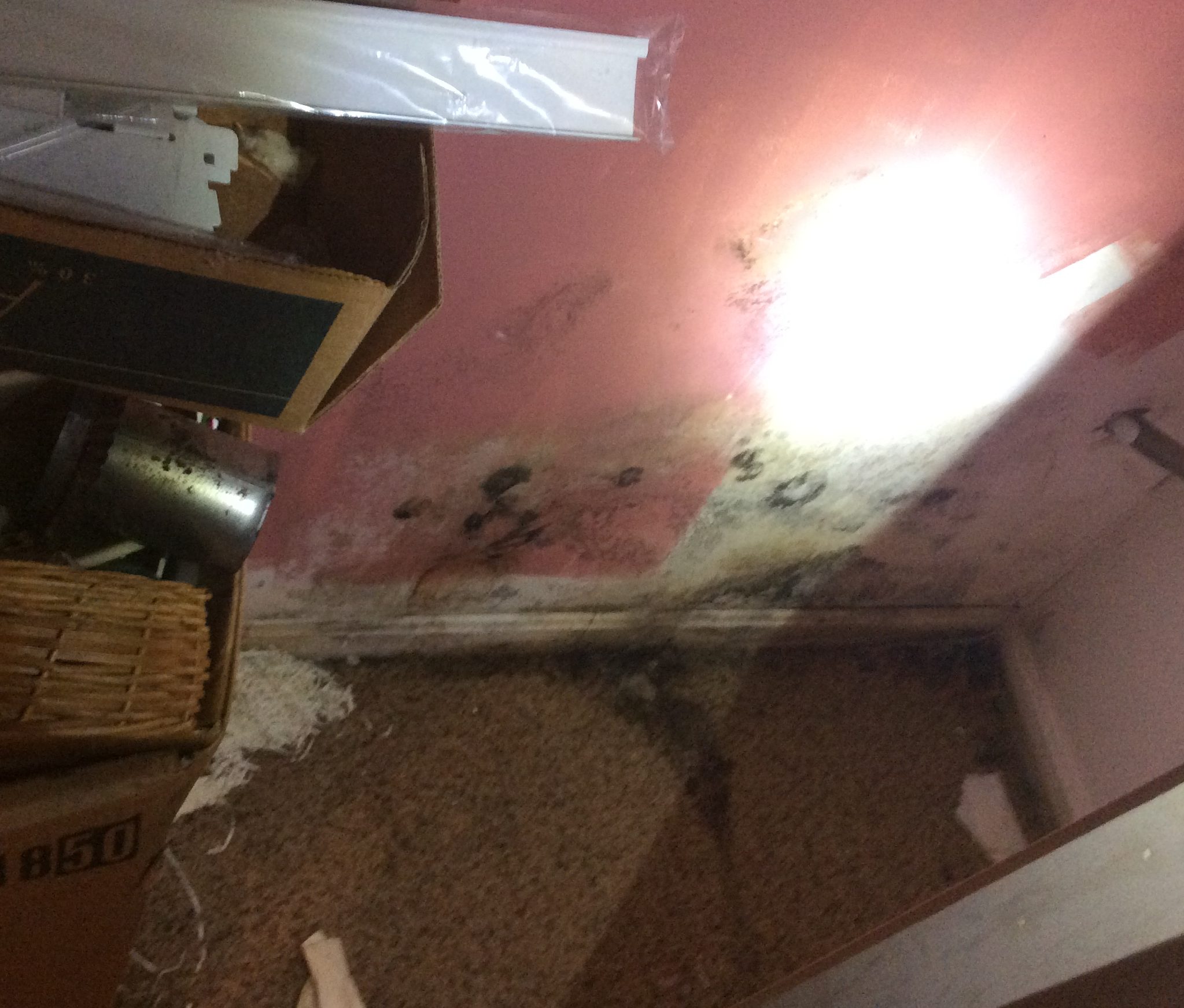 Buying a House with Mold Salem, NH 03079 SoilAway NH, MA, ME