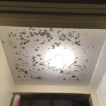 Mold Removal After Water Damage – Merrimack, NH
