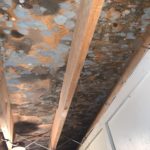 attic mold removal derry nh