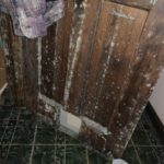 Mold Remediation – York, Maine