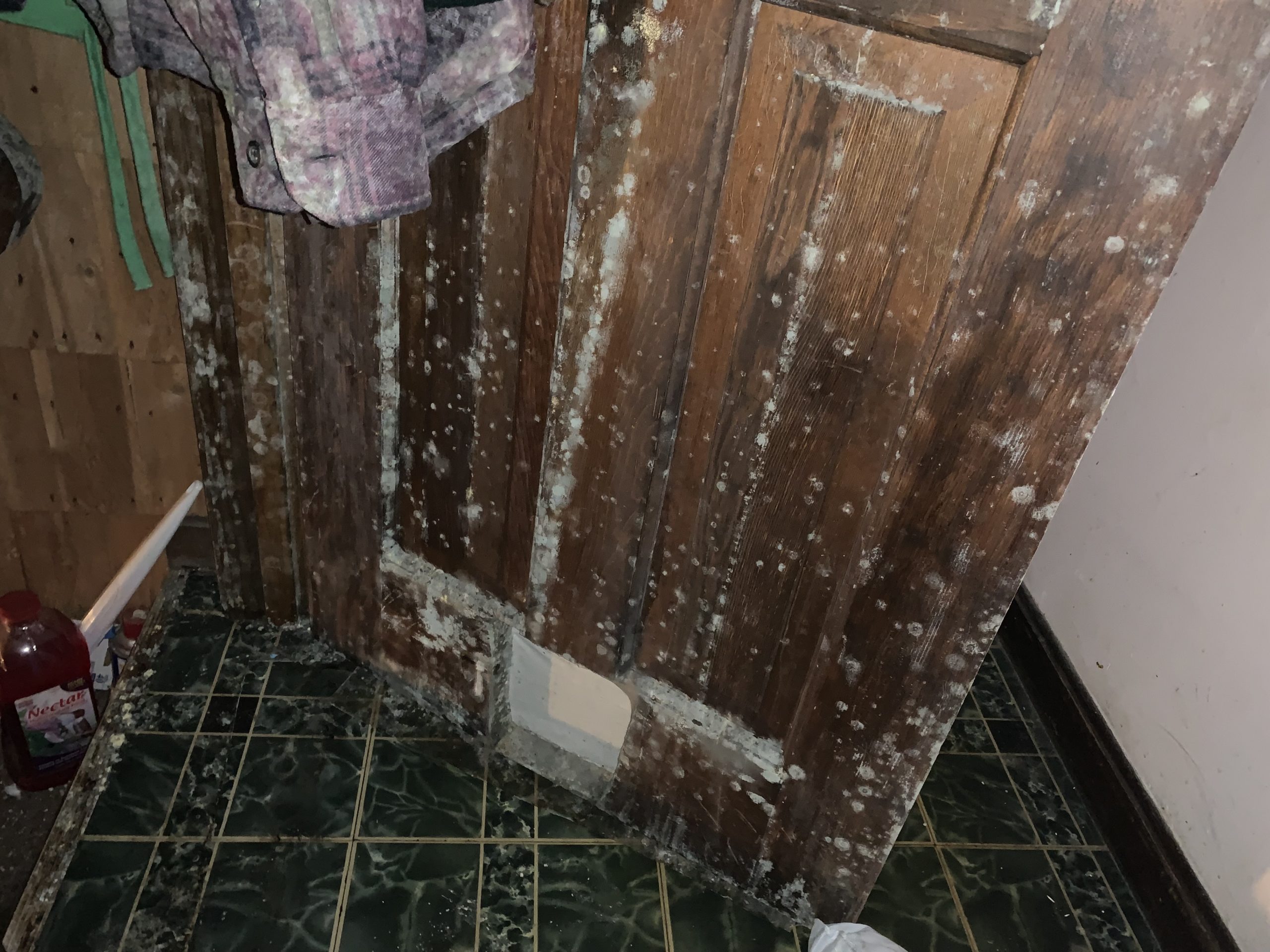 Mold Remediation York, Maine SoilAway NH, MA, ME