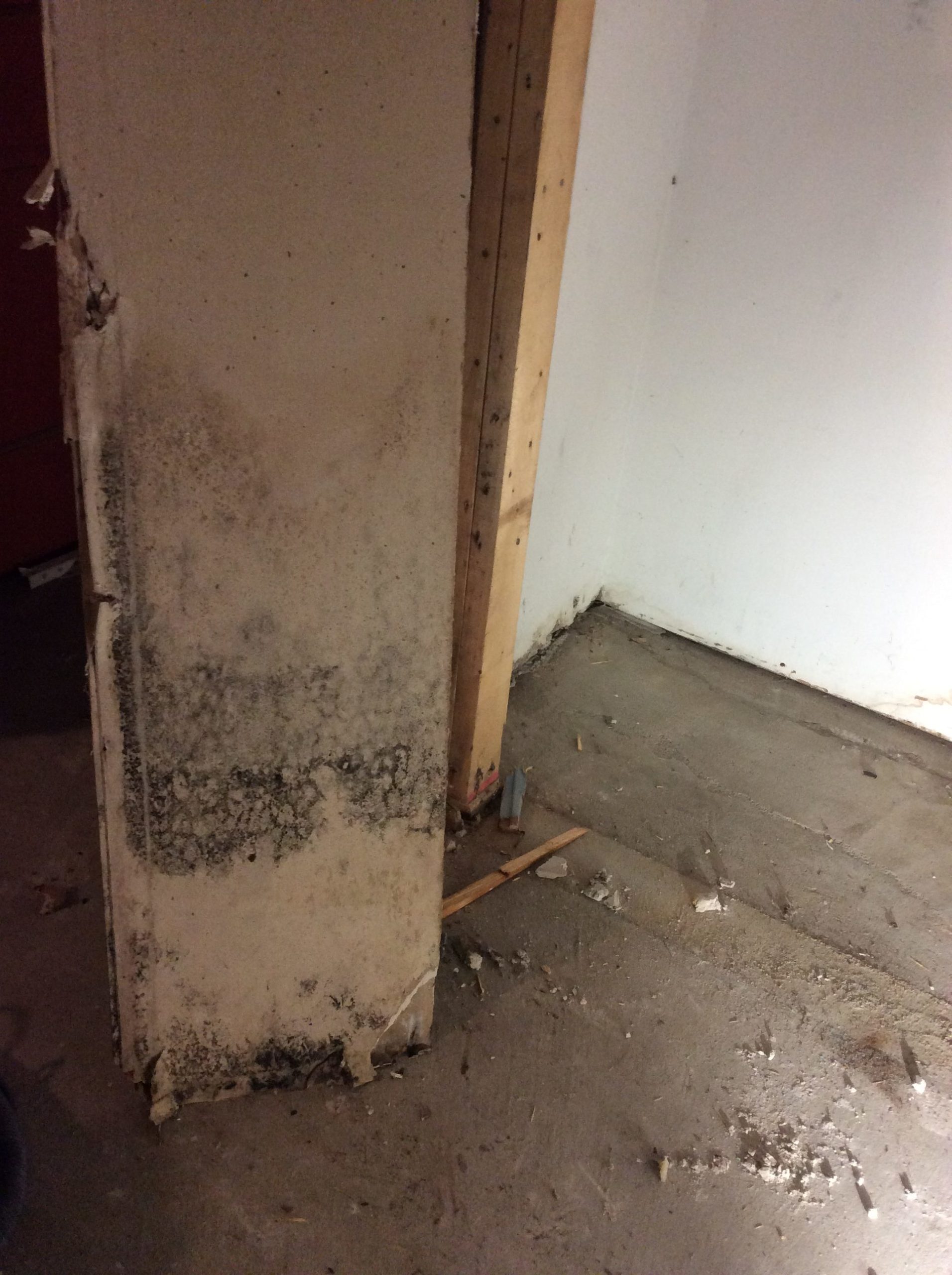 Professional Mold Removal Kennebunk, Maine SoilAway NH, MA, ME